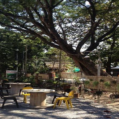 Viva Shack Hostel Chiang Mai Exterior photo