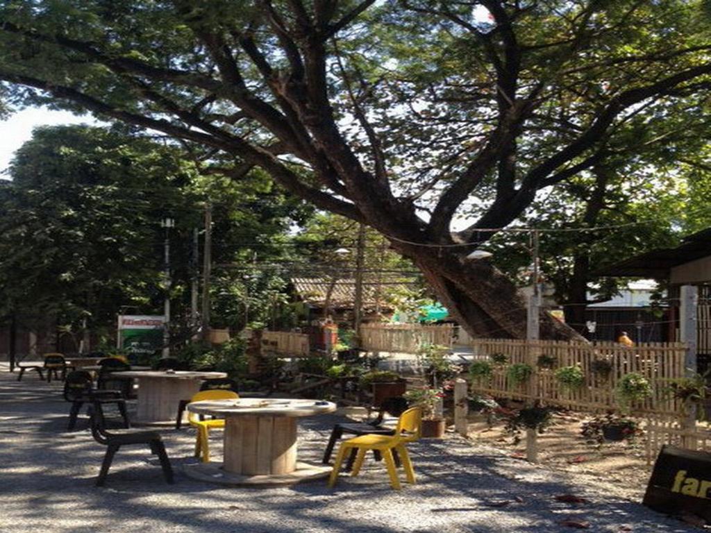 Viva Shack Hostel Chiang Mai Exterior photo
