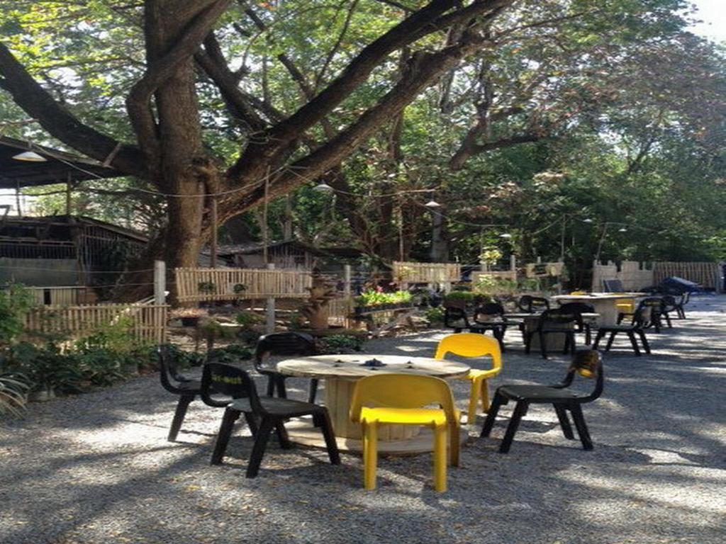 Viva Shack Hostel Chiang Mai Exterior photo