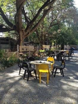 Viva Shack Hostel Chiang Mai Exterior photo